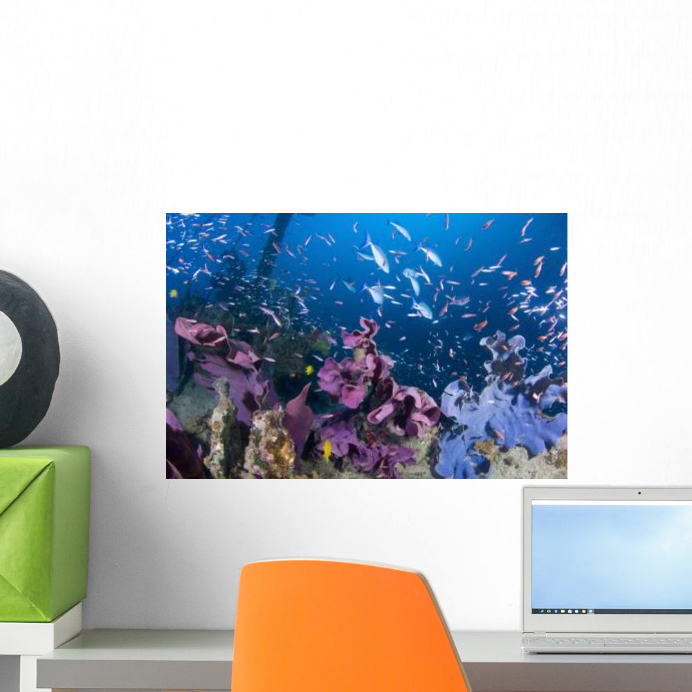 Fish Swarm over Shipwreck Wall Decal - WallMonkeys.com – Wallmonkeys