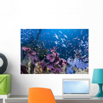 Fish Swarm over Shipwreck Wall Decal shown on a wall