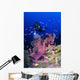 Elephant Ear Sponge Attached Wall Decal Design 4