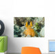 Orange Mantis Shrimp Peering Wall Decal Design 2