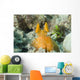 Orange Mantis Shrimp Peering Wall Decal Design 2