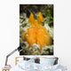 Orange Mantis Shrimp Peering Wall Decal Design 1