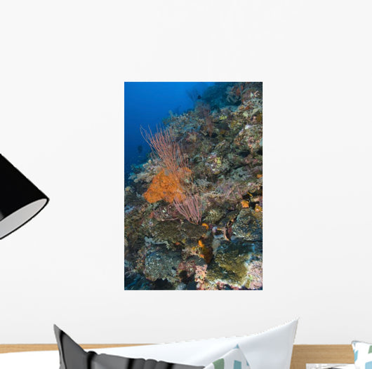 Reef Scape Solomon Islands Wall Decal