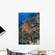Reef Scape Solomon Islands Wall Decal