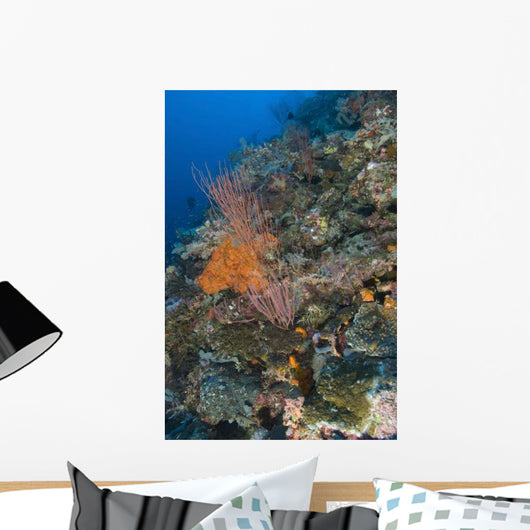 Reef Scape Solomon Islands Wall Decal
