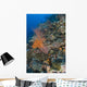 Reef Scape Solomon Islands Wall Decal