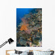 Reef Scape Solomon Islands Wall Decal