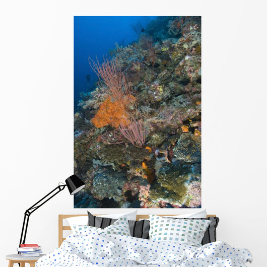 Reef Scape Solomon Islands Wall Decal
