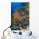 Reef Scape Solomon Islands Wall Decal