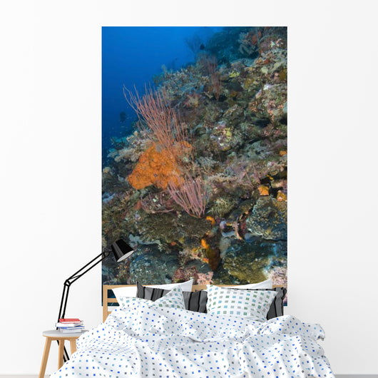 Reef Scape Solomon Islands Wall Decal