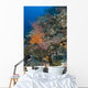 Reef Scape Solomon Islands Wall Decal