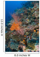 Reef Scape Solomon Islands Wall Decal