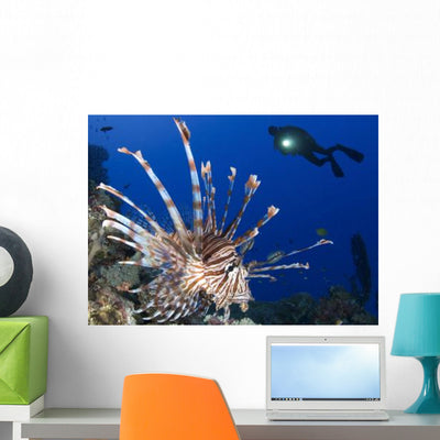 Common Lionfish with Diver Wall Decal shown on a wall