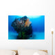 Coral Encrusted Stern Japanese Wall Decal