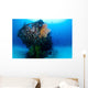 Coral Encrusted Stern Japanese Wall Decal