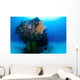 Coral Encrusted Stern Japanese Wall Decal