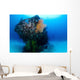 Coral Encrusted Stern Japanese Wall Decal