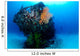 Coral Encrusted Stern Japanese Wall Decal