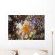 Sarasvati Anemone Shrimp Orange Wall Decal