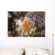 Sarasvati Anemone Shrimp Orange Wall Decal