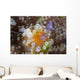 Sarasvati Anemone Shrimp Orange Wall Decal