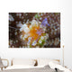 Sarasvati Anemone Shrimp Orange Wall Decal