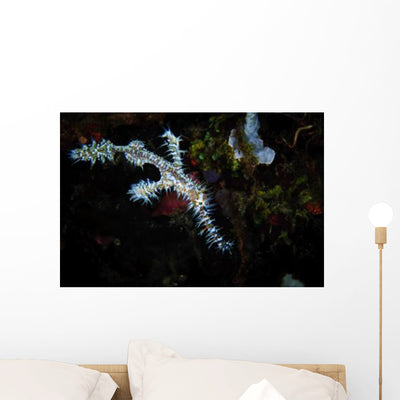 Ornate Ghost Pipefish against Reef Wall Decal shown on a wall