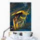 Elegant Squat Lobster Papua Wall Decal