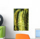 Yellow Commensal Shrimp Crinoid Wall Decal