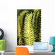 Yellow Commensal Shrimp Crinoid Wall Decal