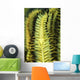 Yellow Commensal Shrimp Crinoid Wall Decal