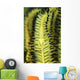 Yellow Commensal Shrimp Crinoid Wall Decal