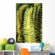 Yellow Commensal Shrimp Crinoid Wall Decal