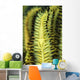 Yellow Commensal Shrimp Crinoid Wall Decal