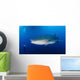 Whale Shark Feeding under Wall Decal
