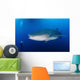 Whale Shark Feeding under Wall Decal