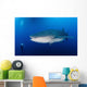 Whale Shark Feeding under Wall Decal