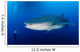 Whale Shark Feeding under Wall Decal