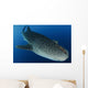 Whale Shark Feeding under Wall Decal Design 39
