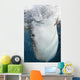 Whale Shark Feeding under Wall Decal Design 38