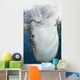 Whale Shark Feeding under Wall Decal Design 38