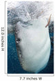 Whale Shark Feeding under Wall Decal Design 38