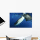 Whale Shark Feeding under Wall Decal Design 37