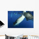 Whale Shark Feeding under Wall Decal Design 37
