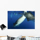 Whale Shark Feeding under Wall Decal Design 37