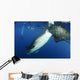 Whale Shark Feeding under Wall Decal Design 37