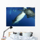 Whale Shark Feeding under Wall Decal Design 37