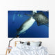 Whale Shark Feeding under Wall Decal Design 37