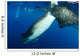 Whale Shark Feeding under Wall Decal Design 37