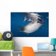 Whale Shark Feeding under Wall Decal Design 36